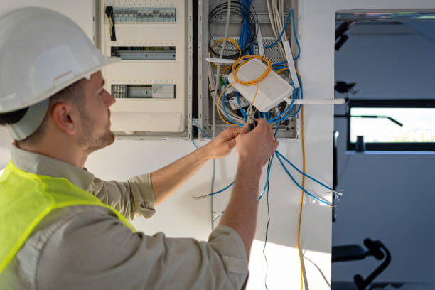 Best Electrical System Inspection  in Angustura, NM